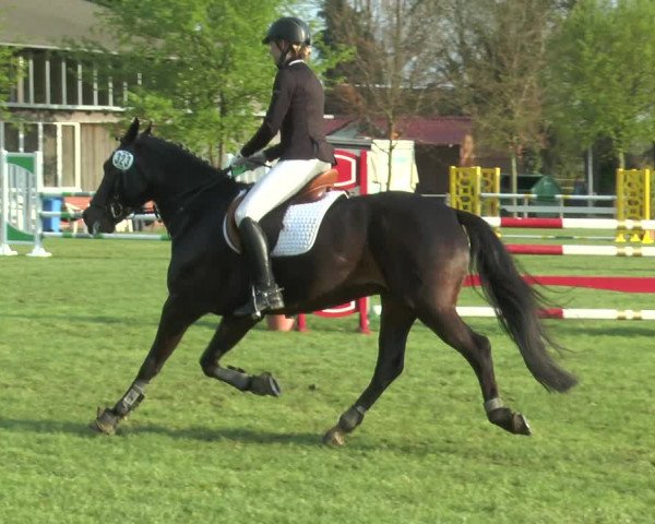 Reitturnier Lienen 2017