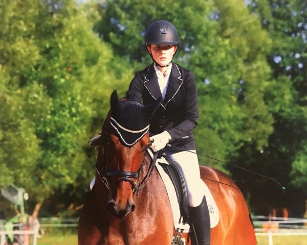 dressage horse Rittberger (Oldenburg, 2006, from Riccione)