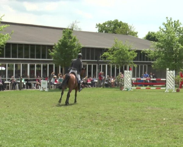 Reitturnier Lienen 2017