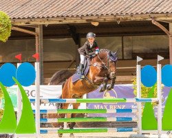 jumper Vatango Mo (German Riding Pony, 2006, from Vivaldi)