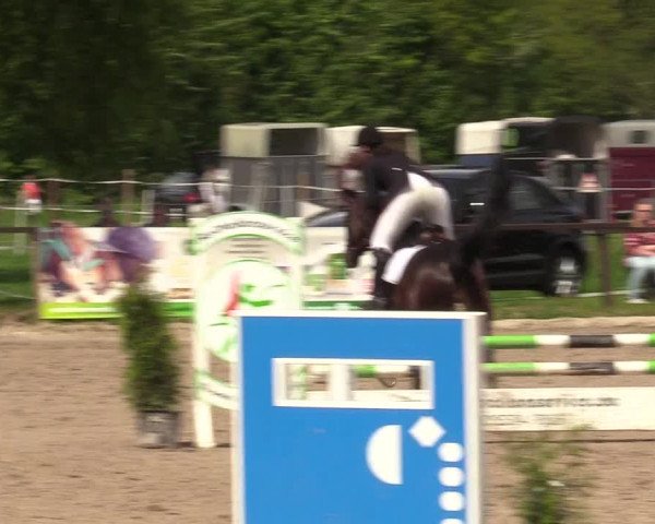 Reitturnier Ahlen 2017