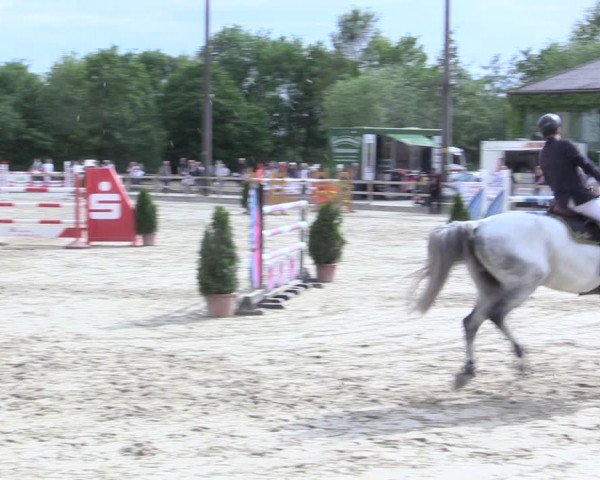 Reitturnier Nienberge 2017