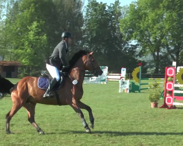 Reitturnier Lienen 2017