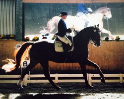 Pferd Rascal 88 (Oldenburger, 2000, von Rohdiamant)