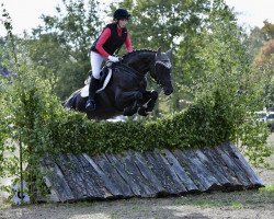 jumper Cassiopeia (Hanoverian, 2012, from Contendros Bube)