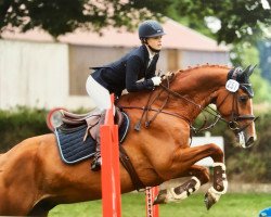 dressage horse Lynley S (German Sport Horse, 2012, from Lingh)