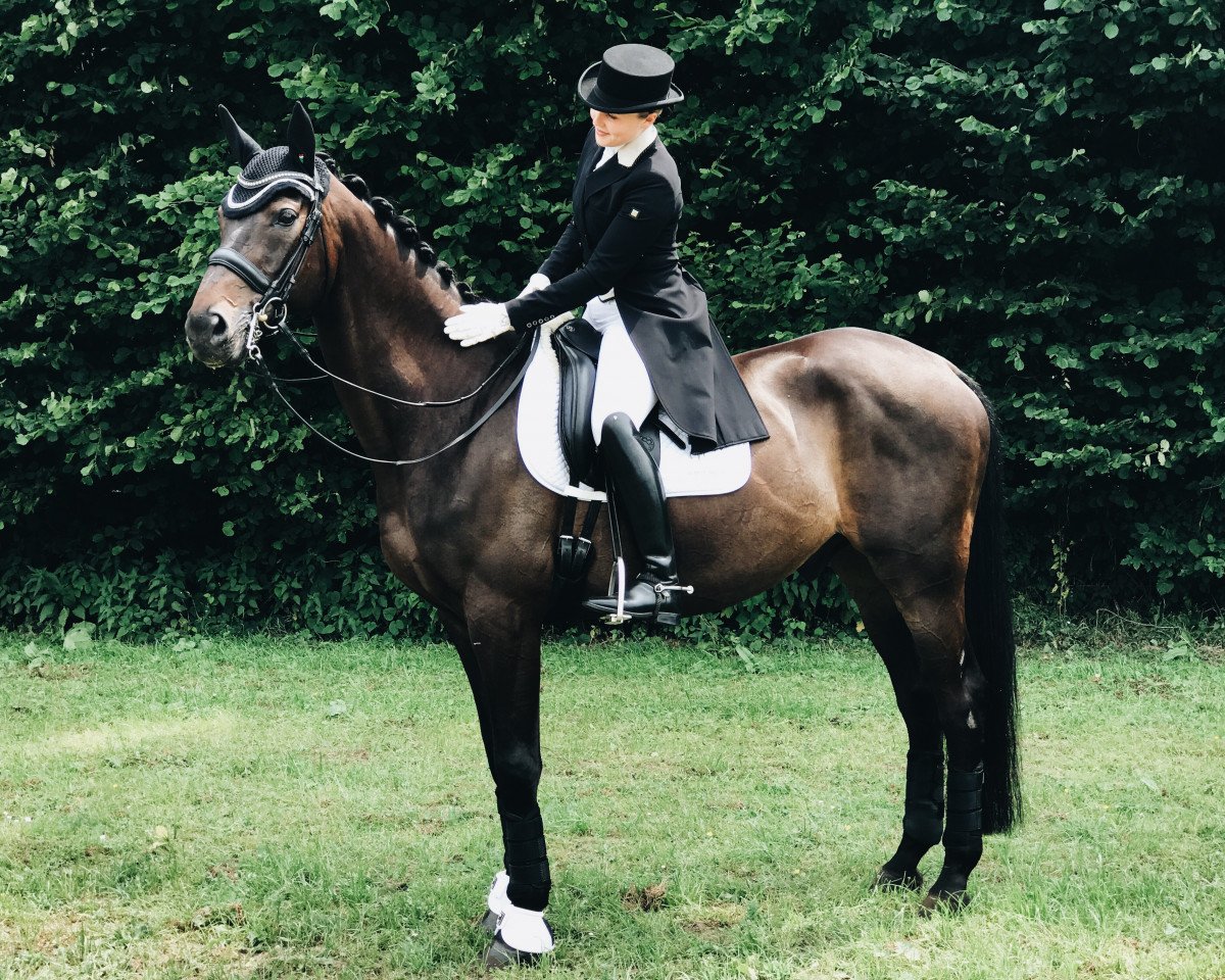 dressage horse Tonik 2 (Ukrainisches riding horse, 2003)