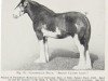 broodmare Milton Classic Lady (Clydesdale, 1948, from Classic 24116)