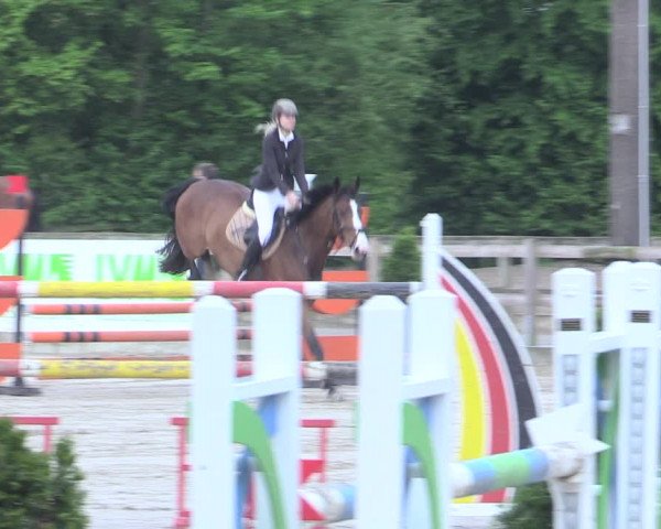 Reitturnier Nienberge 2017