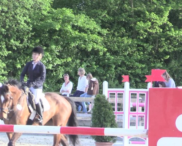 Reitturnier Nienberge 2017