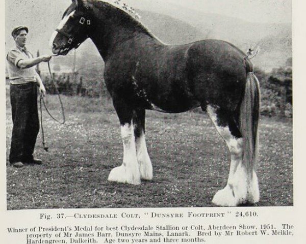 stallion Dunsyre Footprint (Clydesdale, 1949, from Balgreen Final Command)