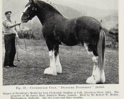 Deckhengst Dunsyre Footprint (Clydesdale, 1949, von Balgreen Final Command)