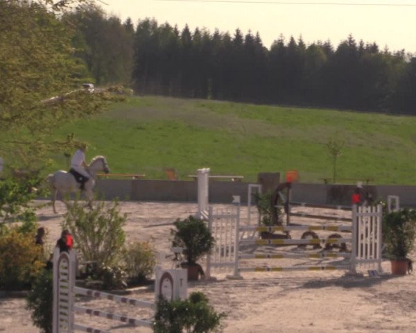 Reitturnier Oberfrauendorf 2017