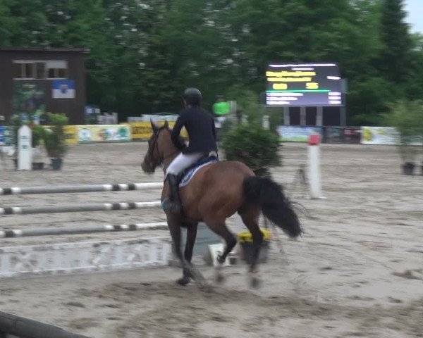 Reitturnier Remscheid, Buscher Hof 2017