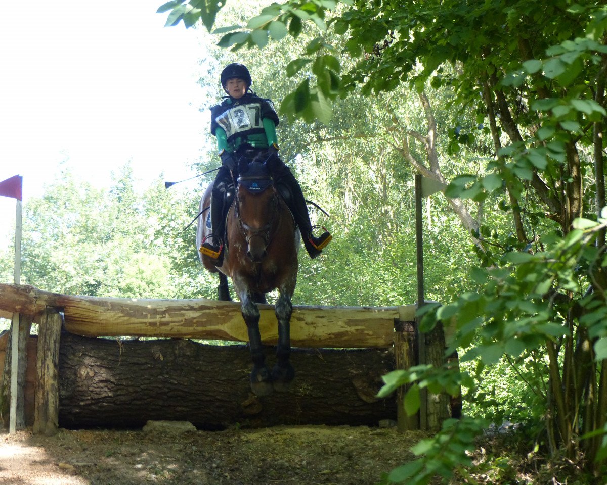 jumper Lajano S 2 (Holsteiner, 2008, from Lordanos)