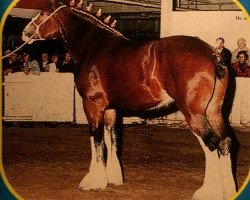 broodmare Carson's Made to Measure (Clydesdale, 1994, from Ainville Freelance)