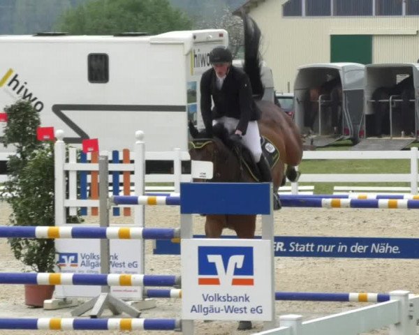 Reitturnier Isny-Rohrdorf 2017
