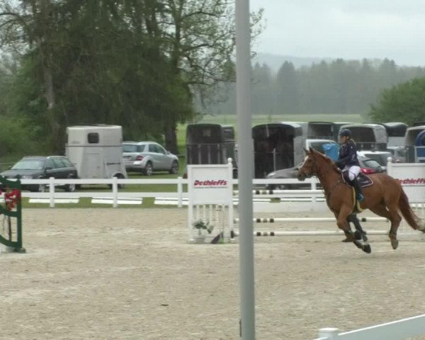 Reitturnier Isny-Rohrdorf 2017