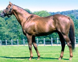 stallion Green Tune xx (Thoroughbred, 1991, from Green Dancer xx)