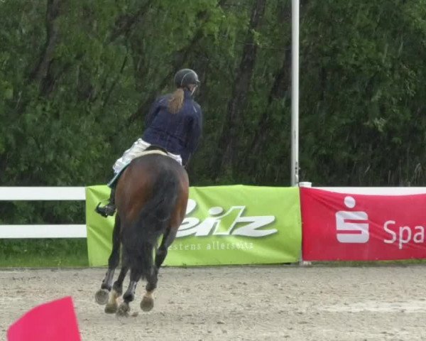Reitturnier Isny-Rohrdorf 2017