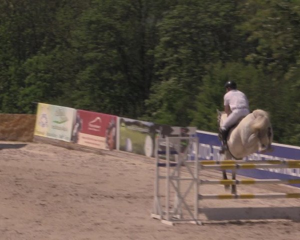Reitturnier Oberfrauendorf 2017