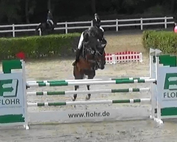 jumper Ciskolito (Hanoverian, 2011, from Catch me if you can 29)