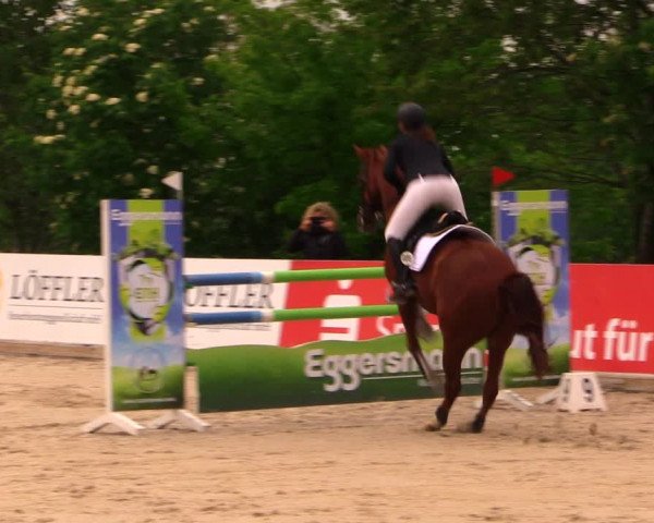 Reitturnier Oberfrauendorf 2017