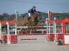 jumper Baron Wz (German Sport Horse, 2008, from Balou du Rouet)