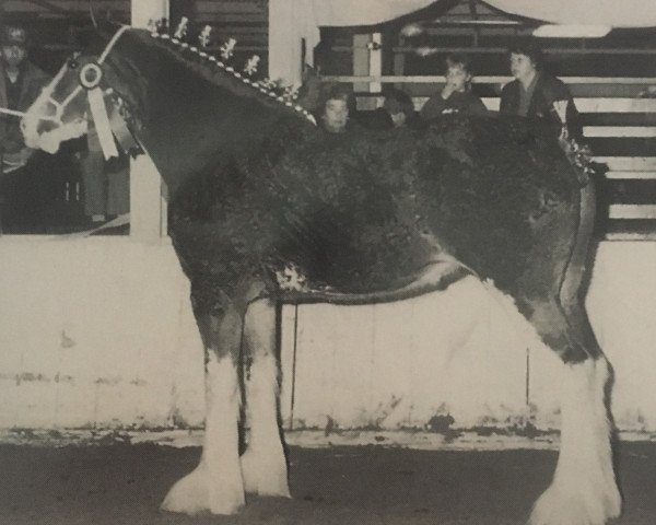 broodmare Live Oak Charming Rhapsody (Clydesdale, 1993, from Ayton Perfection)