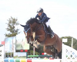 broodmare Kamilla Ter Muyncken (Belgian Warmblood, 2010, from Heartbreaker)