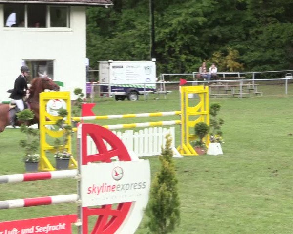 Reitturnier Stukenbrock 2017