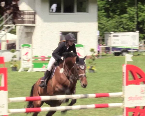 Reitturnier Stukenbrock 2017