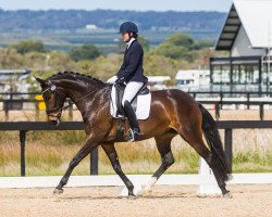 dressage horse Daminia LP (Westphalian, 2013, from Duisenberg)