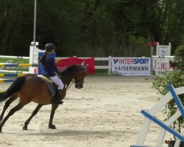 Reitturnier Isny-Rohrdorf 2017