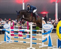 stallion El Barone 111 Z (Zangersheide riding horse, 2012, from Emerald van 't Ruytershof)