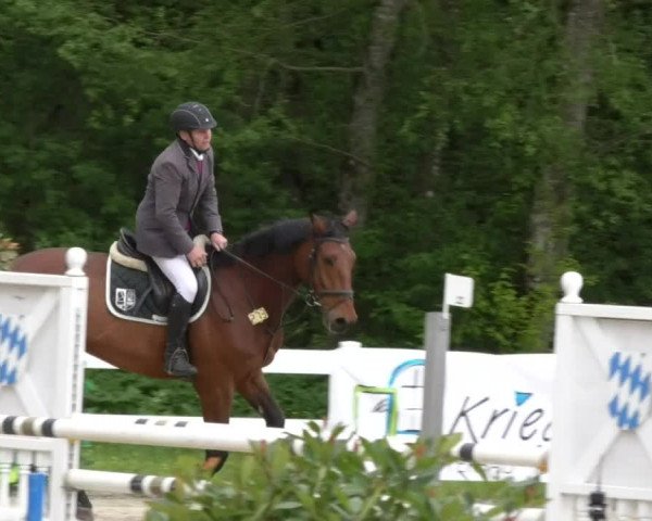 Reitturnier Isny-Rohrdorf 2017