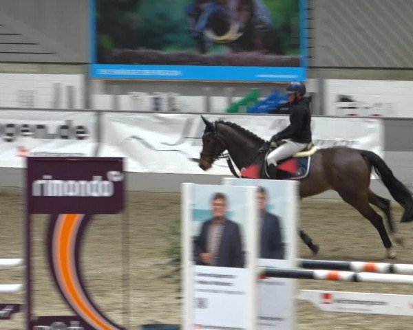 Reitturnier Luhmühlen 2021
