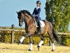 dressage horse Eye Catcher 7 (KWPN (Royal Dutch Sporthorse), 2009, from Tuschinski)