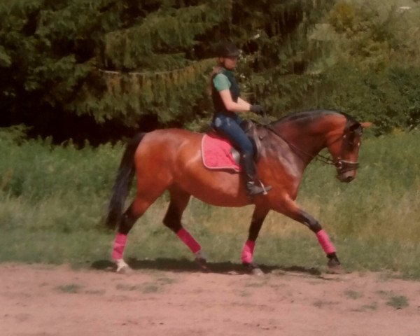 broodmare Rosa Luxemburg (Hanoverian, 2004, from Relevant)