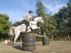 dressage horse Khamid M Hamid (Arabian, 2004)