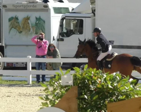Reitturnier Isny-Rohrdorf 2017