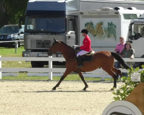 Reitturnier Isny-Rohrdorf 2017
