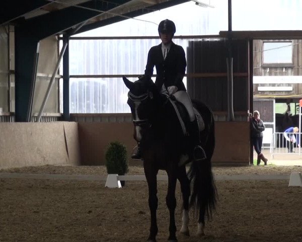 Reitturnier Remscheid, Buscher Hof 2017