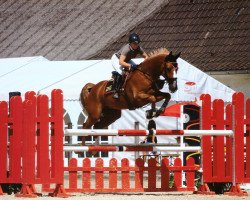 jumper Favorite Pleasure CH (Swiss Warmblood, 2011, from For Pleasure)