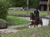 jumper Isselhook's Iroko TSF (Trakehner, 2013, from Donaufischer)