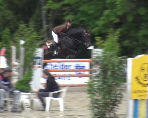 Reitturnier Remscheid, Buscher Hof 2017
