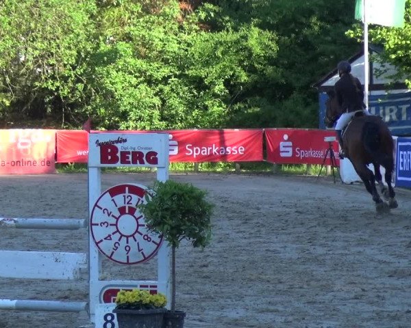 Reitturnier Remscheid, Buscher Hof 2017