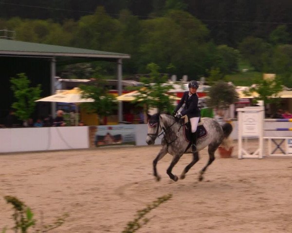 Reitturnier Oberfrauendorf 2017