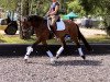 dressage horse Bella Frozy L (Bavarian, 2014, from Fürst Romancier)