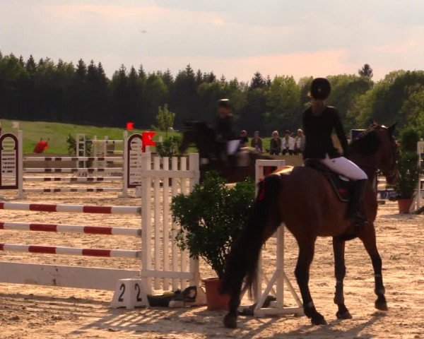 Reitturnier Oberfrauendorf 2017